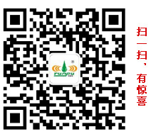 手機(jī)端